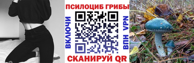 Псилоцибиновые грибы ЛСД  Купить где  Осташков 